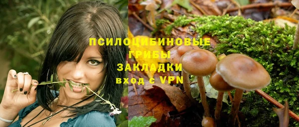 сатива Балабаново