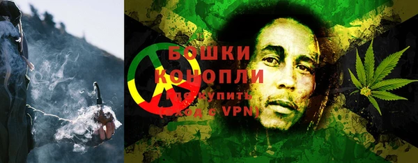 дживик Протвино