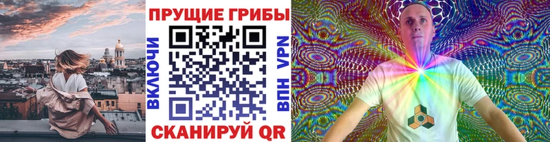 Галлюциногенные грибы Psilocybine cubensis Весьегонск